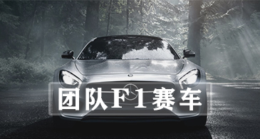 團(tuán)隊(duì)F1賽車(chē)